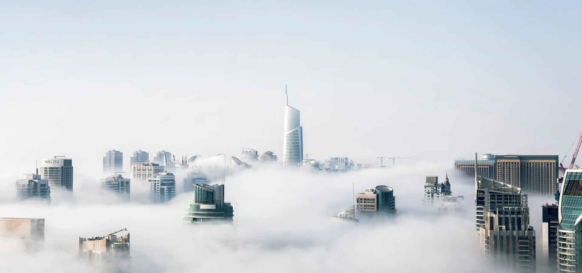 Top-Rated Local Movers Dubai