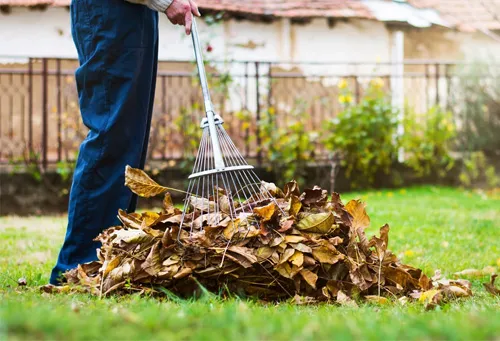 Garden Cleaning Services in Dubai